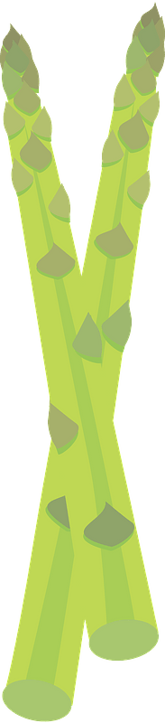 Asparagus Stalks