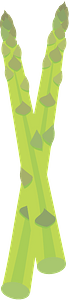 Asparagus Stalks