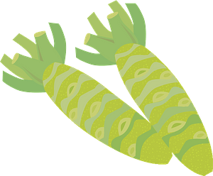 Wasabi japanese horseradish
