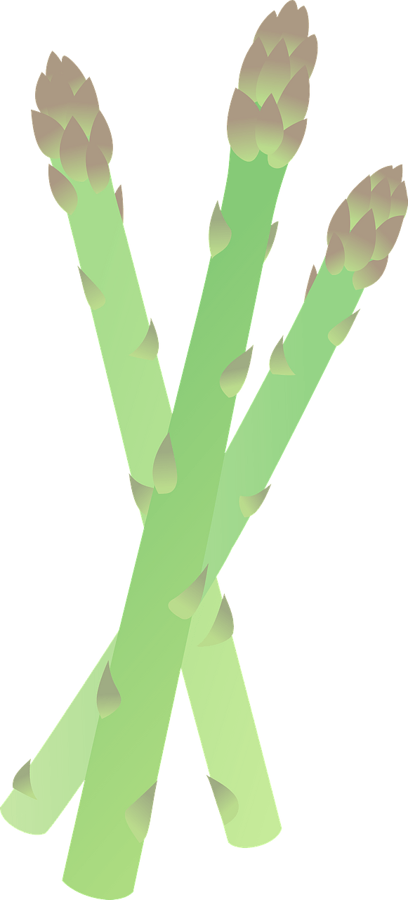 Asparagus Stalks