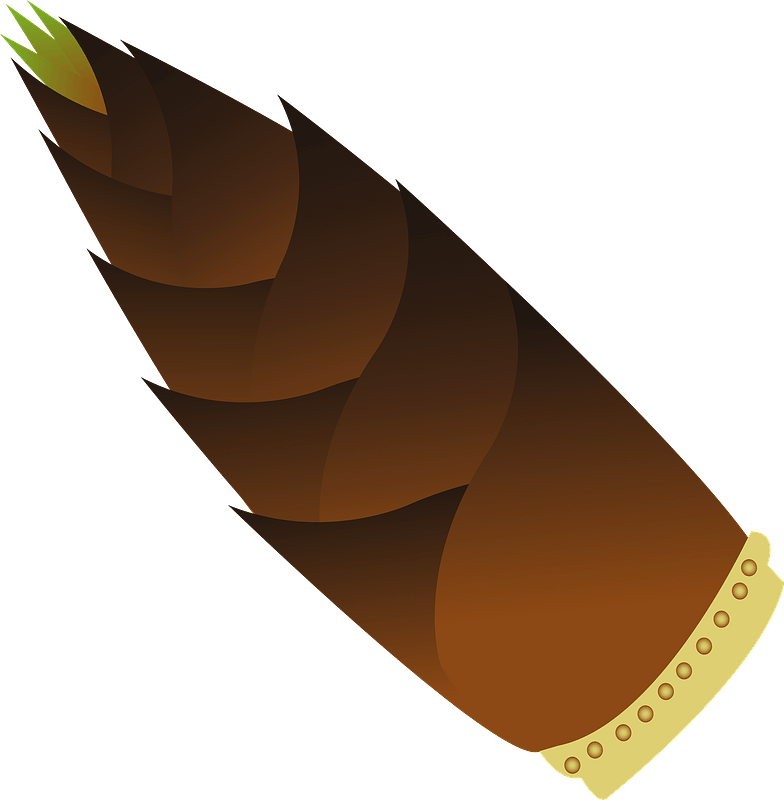 Bamboo shoot