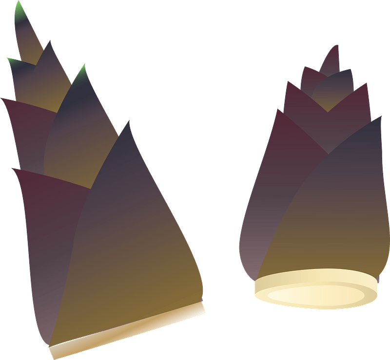 Bamboo shoot