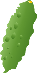 Bitter melon vegetable