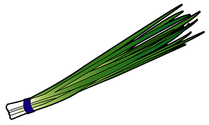 Bunching onion vegetable