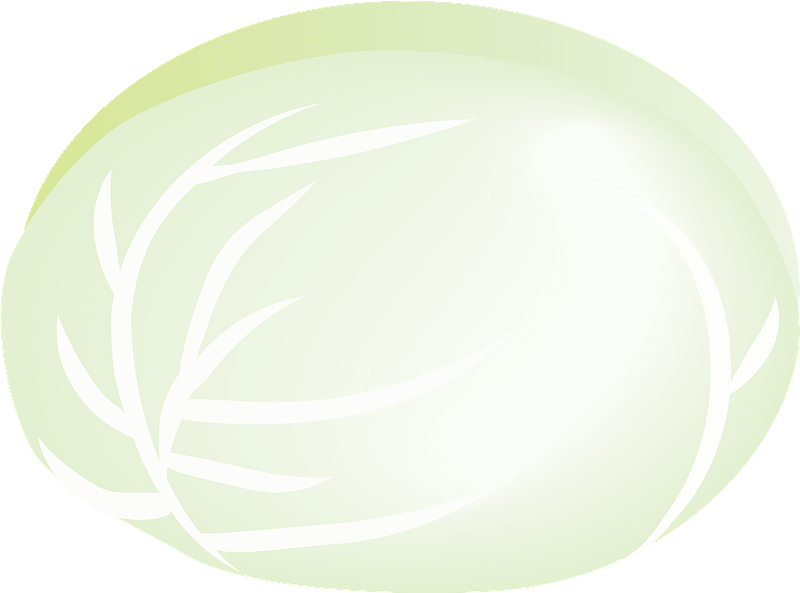 Cabbage