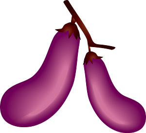 Eggplant