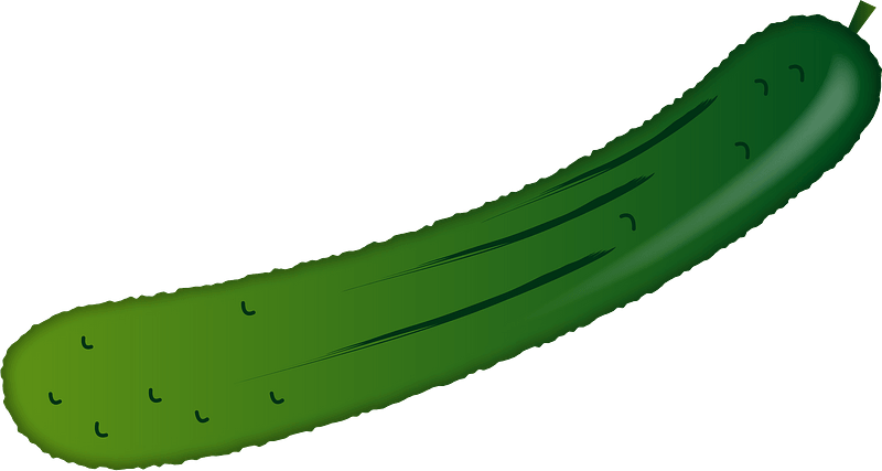 Cucumber