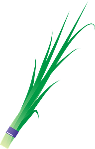 Garlic chives