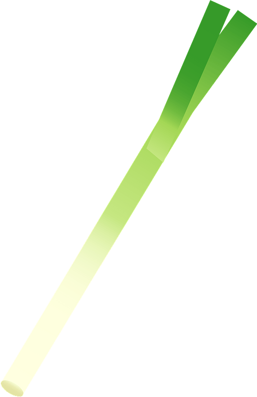 Japanese bunching onion