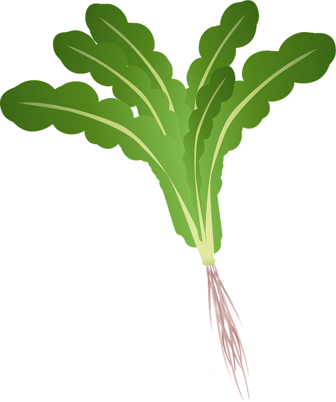 Japanese green vegetable