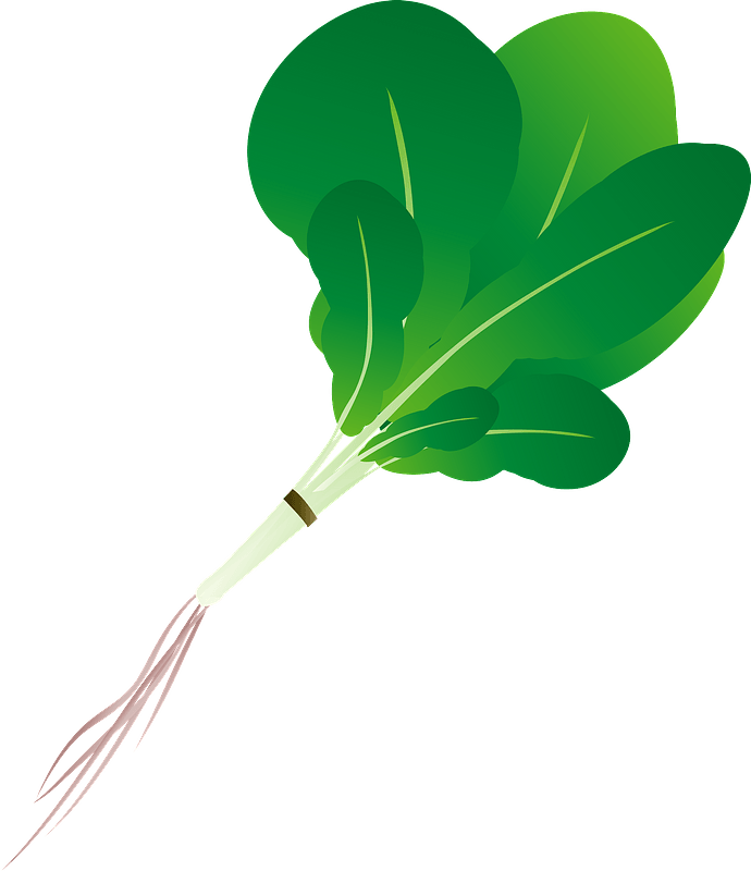 Japanese mustard spinach
