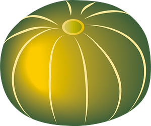 Kabocha Squash