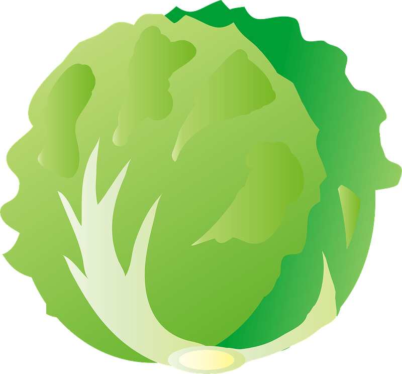Lettuce