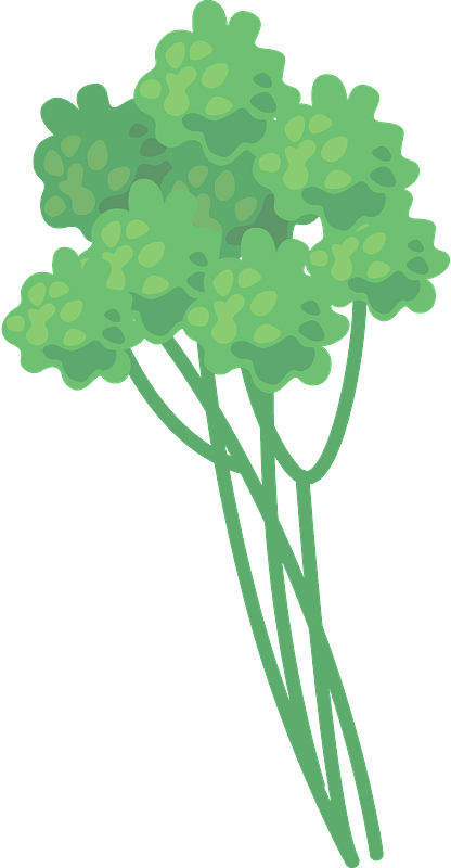 Parsley