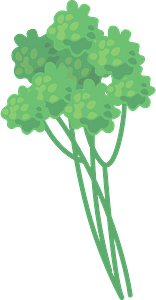 Parsley