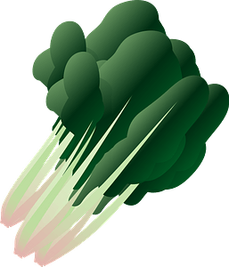 Spinach leaves