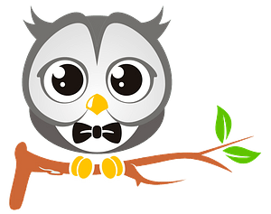 Cute owl on branch