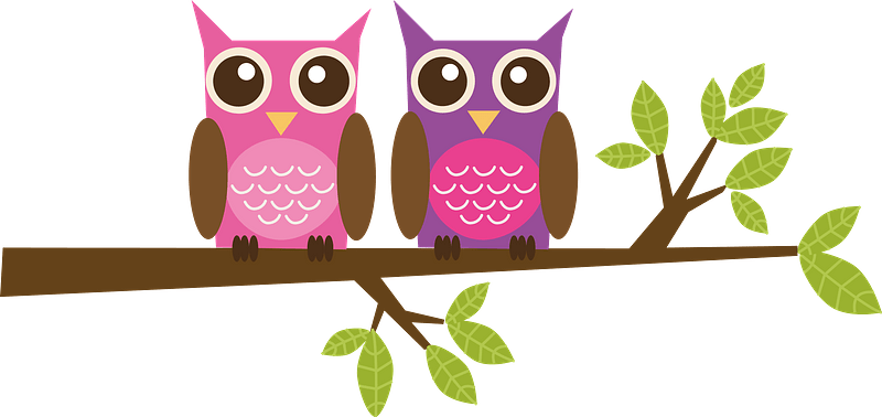 Cartoon owls on branch
