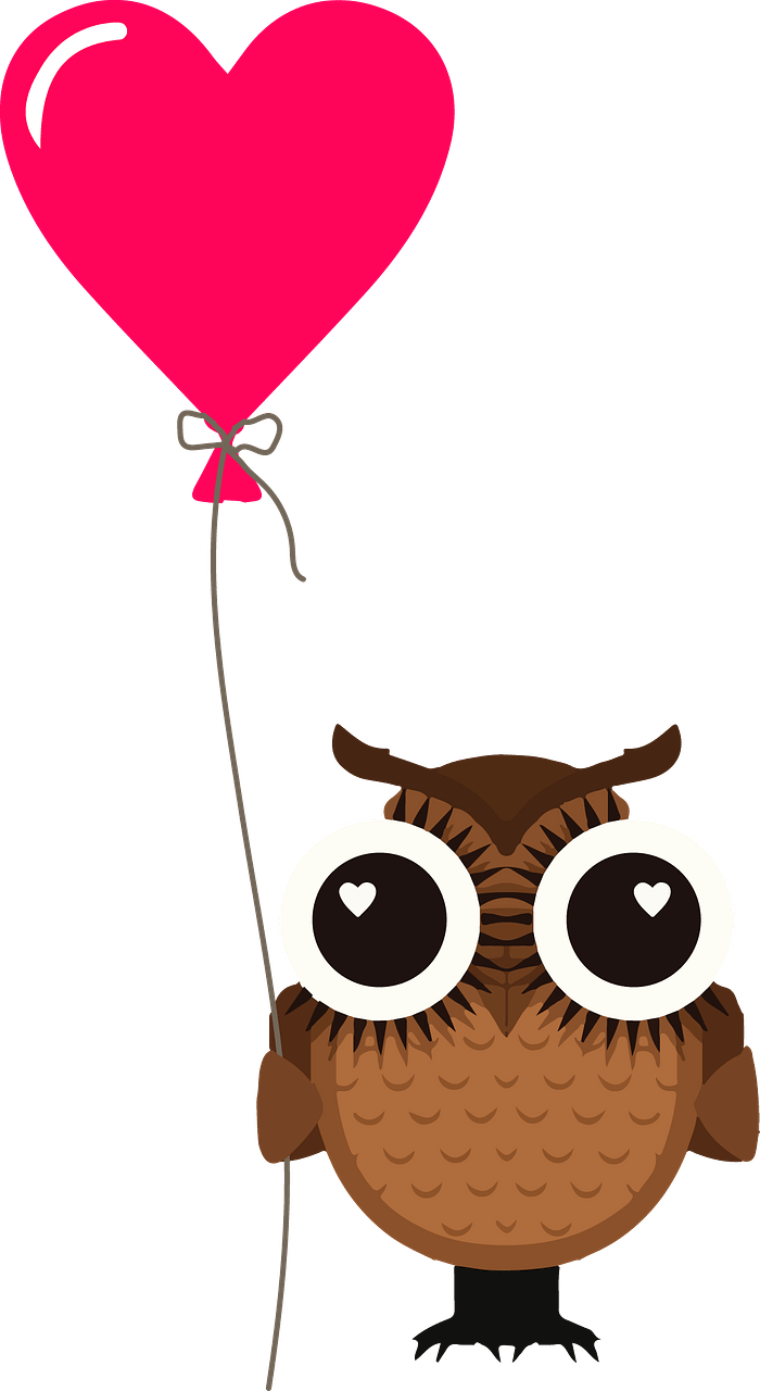 Owl with heart balloon