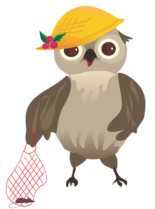 Owl lady