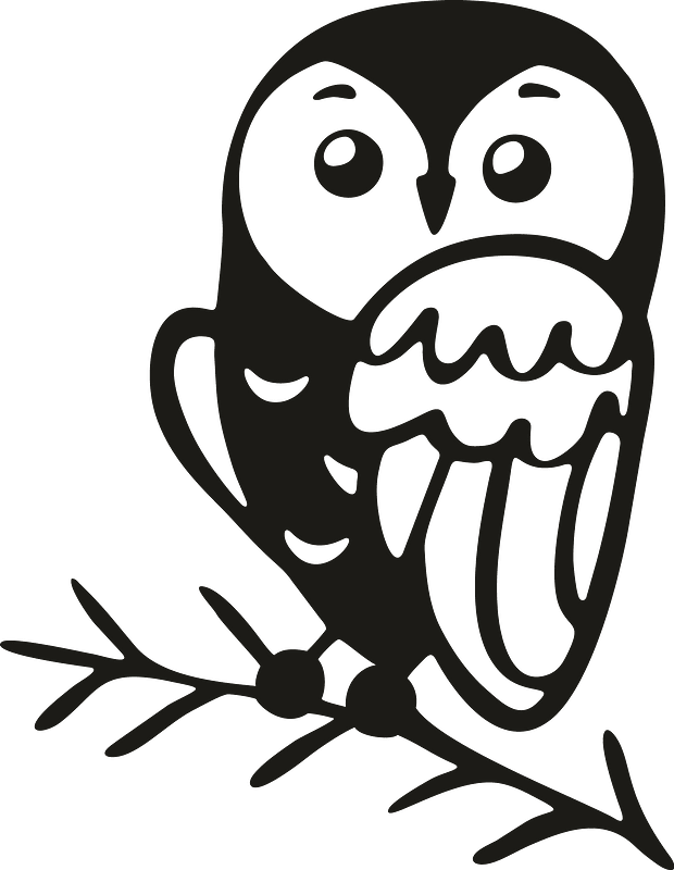 Cute owl on branch