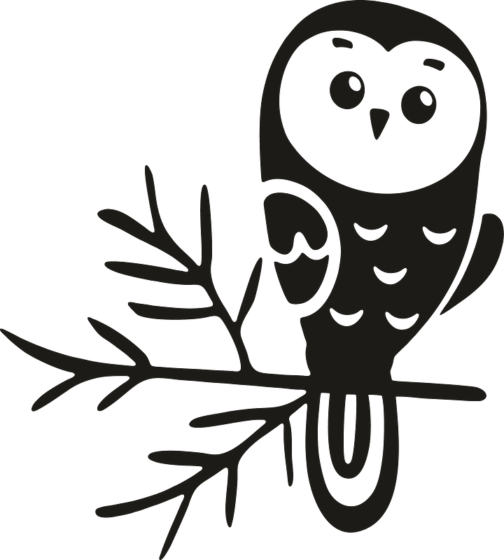 Cute owl on branch