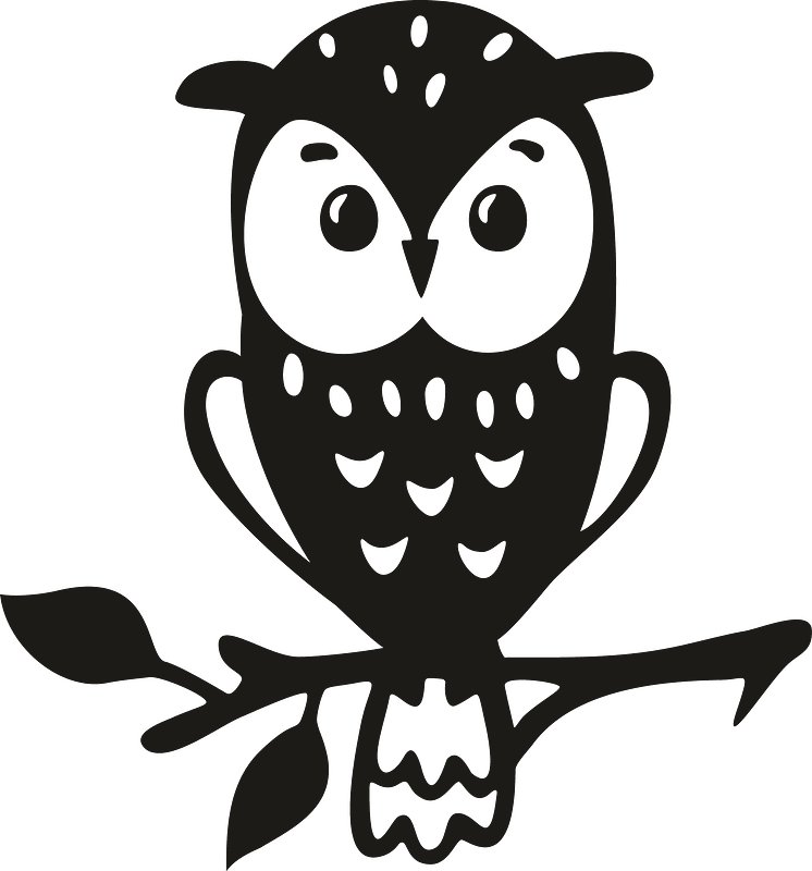 Cute owl on branch