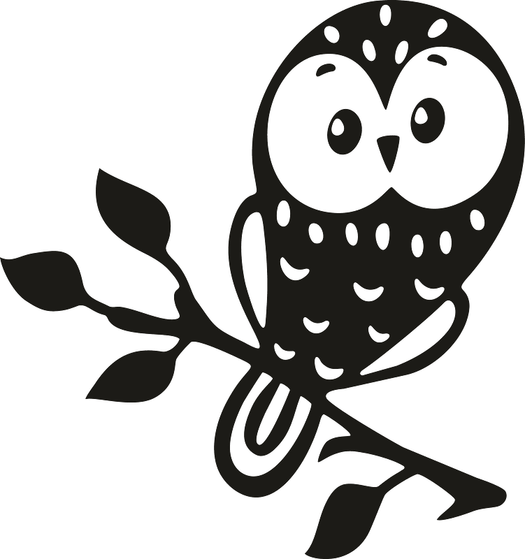 Cute owl on branch