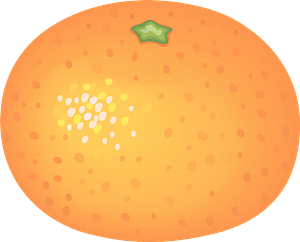 Mikan fruit - Japanese citrus