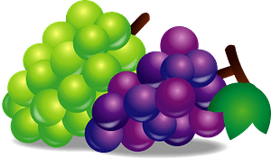 Bunches of Green and Purple Grapes