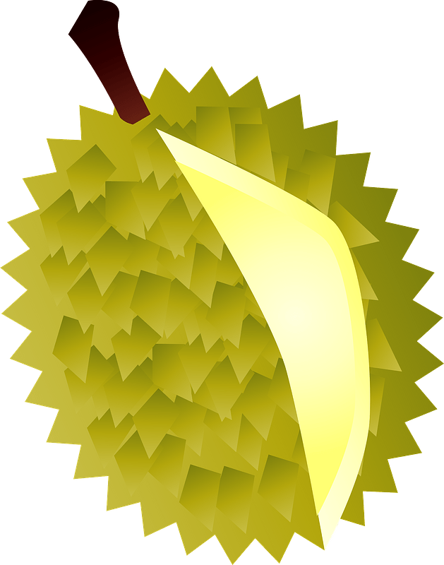 Durian fruits