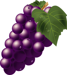 Bunch of Grapes