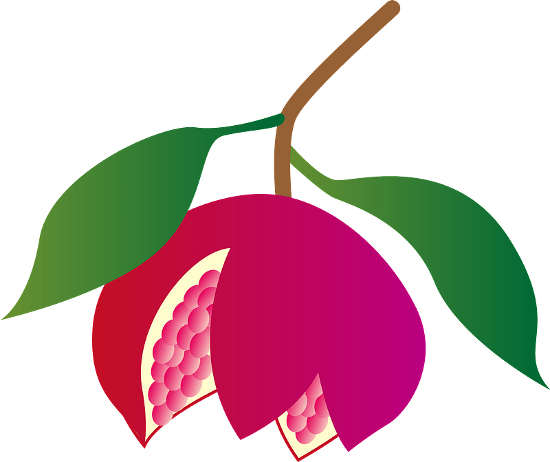 Pomegranate