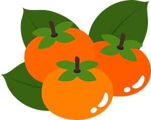 Persimmon