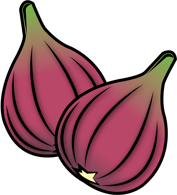 Common fig
