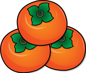 Persimmon