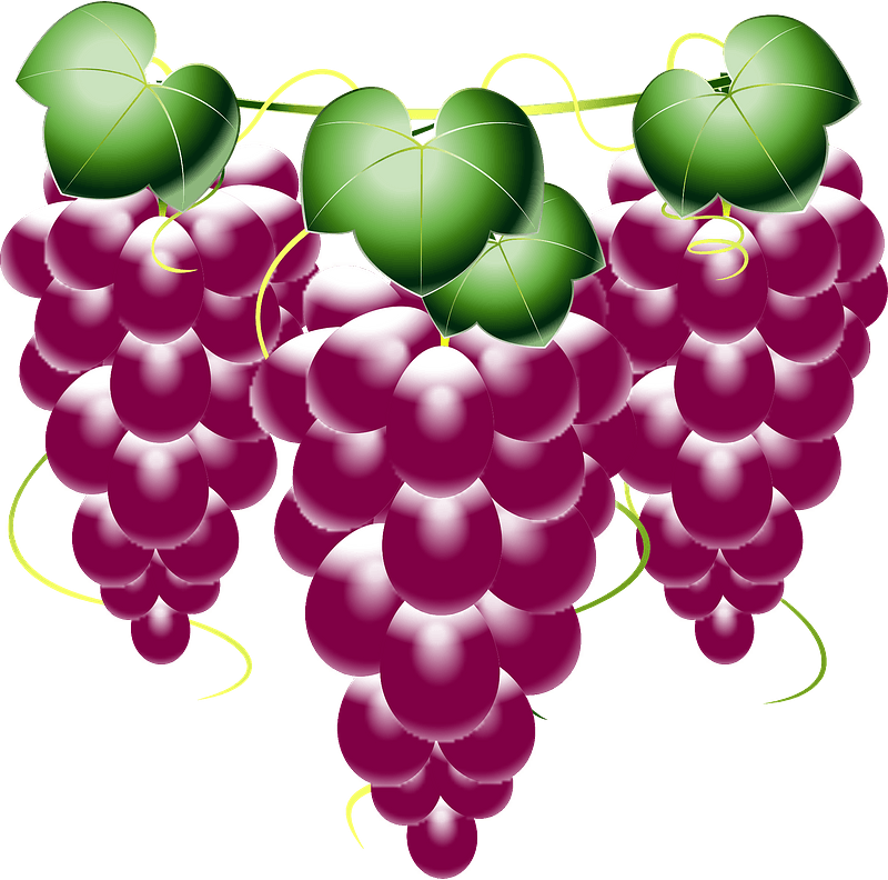 Bunches of Grapes