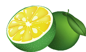 Shequasar citrus depressa - Flat lemon