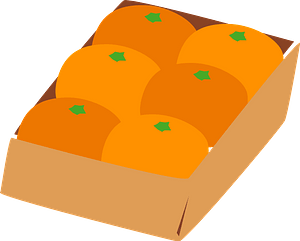 Unshu mikan fruits in a box