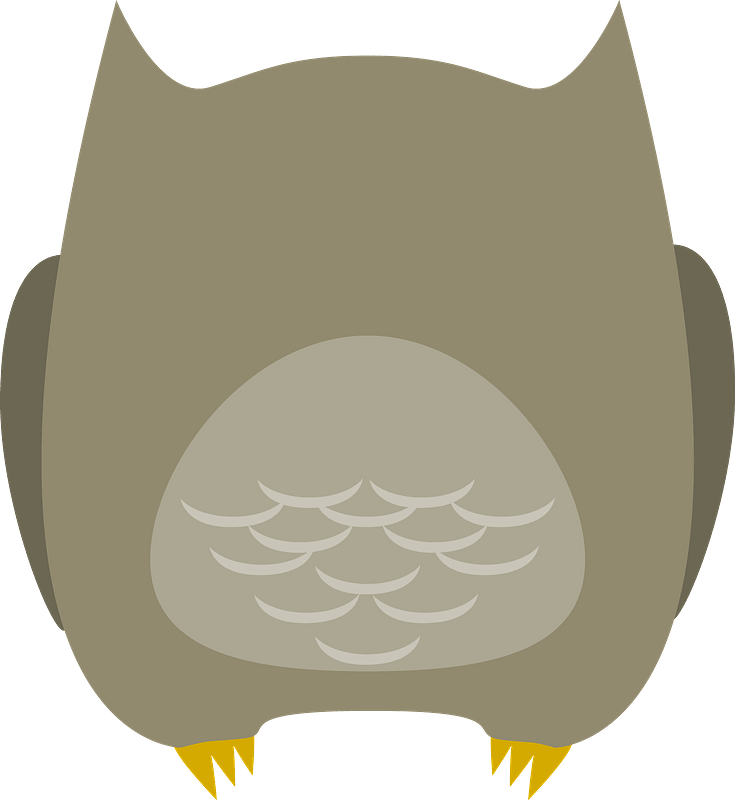 Cartoon owl back