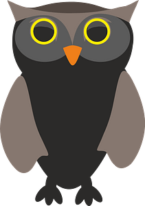 Yellow eyed owl