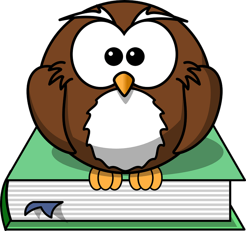 Cartoon owl on book