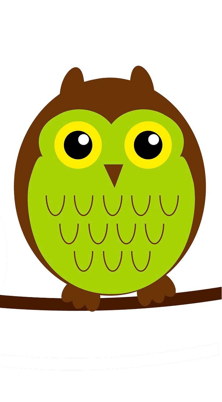 Cute owl on branch