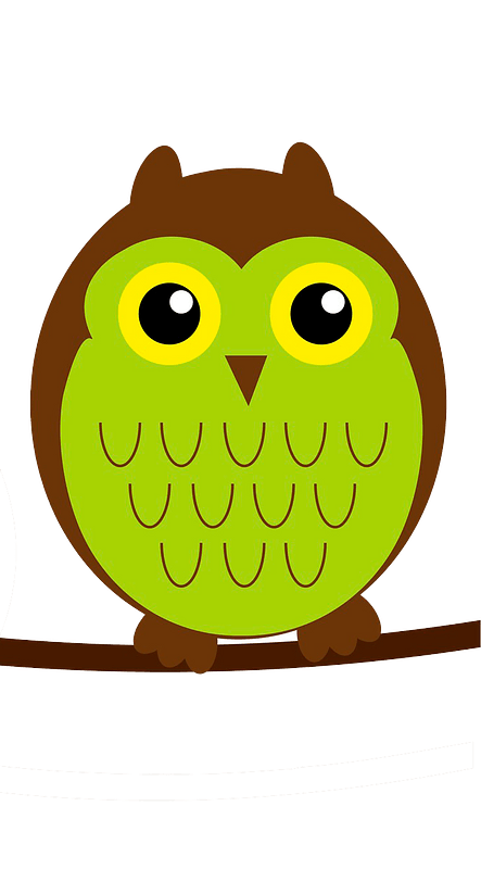 Cute owl on branch
