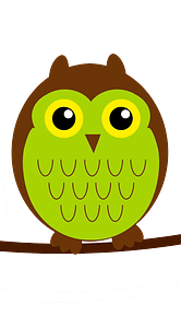 Cute owl on branch