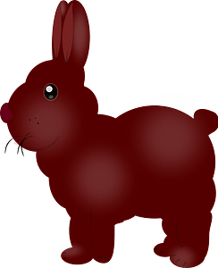 Chocolate bunny