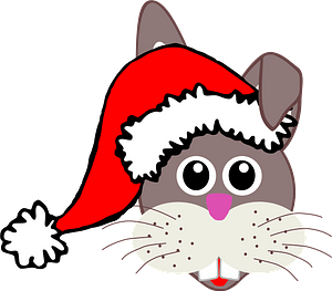 Bunny face with Santa Claus hat
