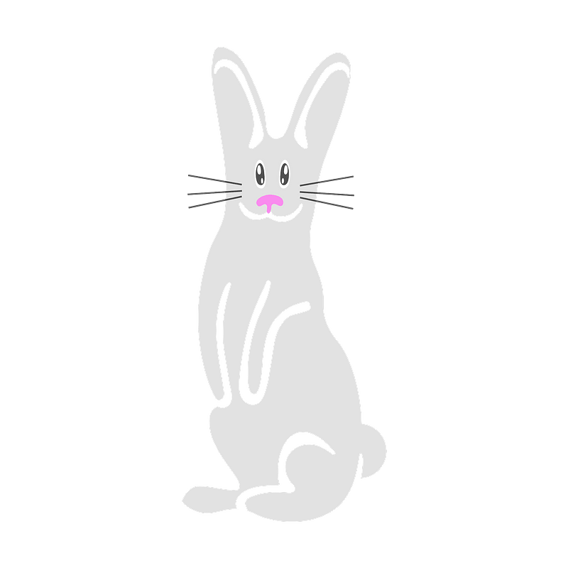 White bunny