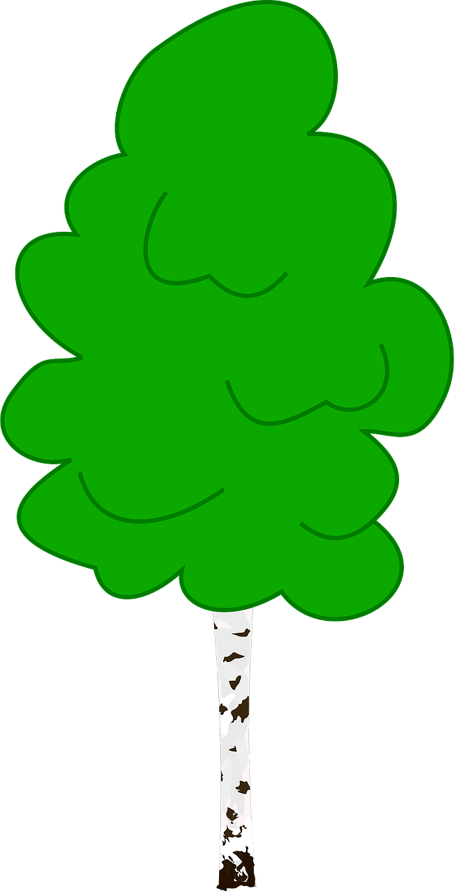 Birch with Green Leaves