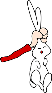Rabbit in hand